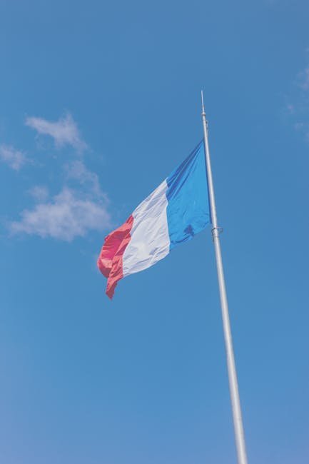 French Ancestry (Around 8-10 Million People) (image credits: pexels)