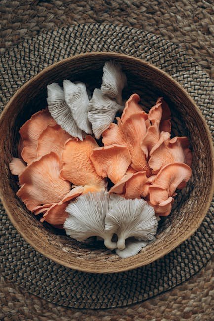 6. Adaptogenic Mushrooms (Lion’s Mane, Reishi, Cordyceps) (image credits: pexels)