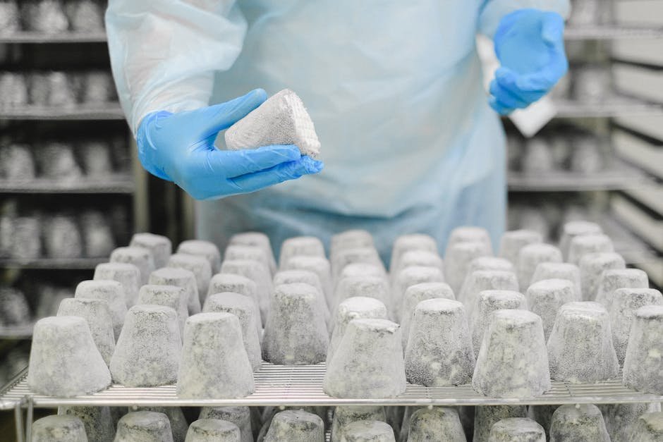7. Cellular Dairy (Lab-Grown Milk & Cheese) (image credits: pexels)