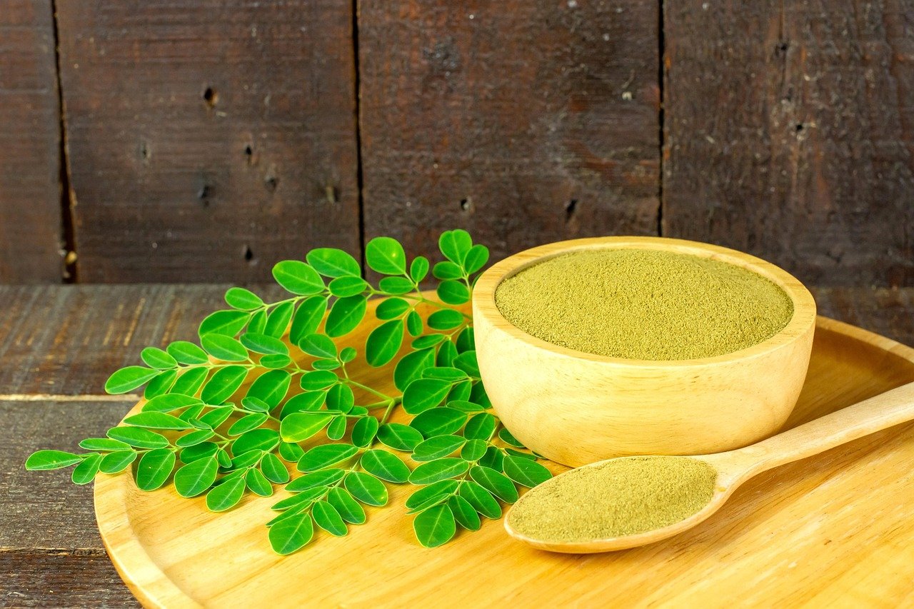 8. Moringa (image credits: pixabay)