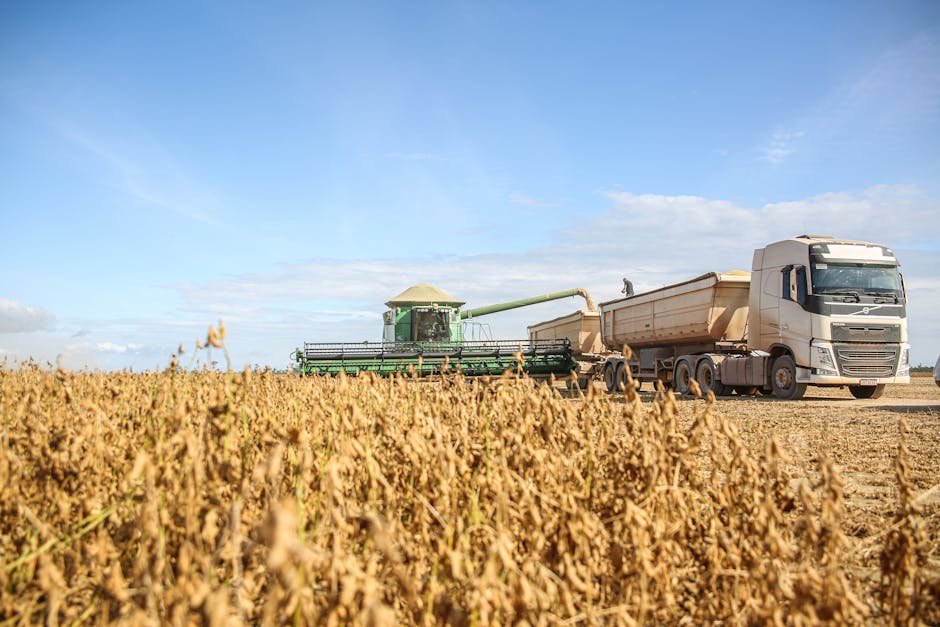 14. Biofortified Crops (Nutrient-Enhanced Foods) (image credits: pexels)