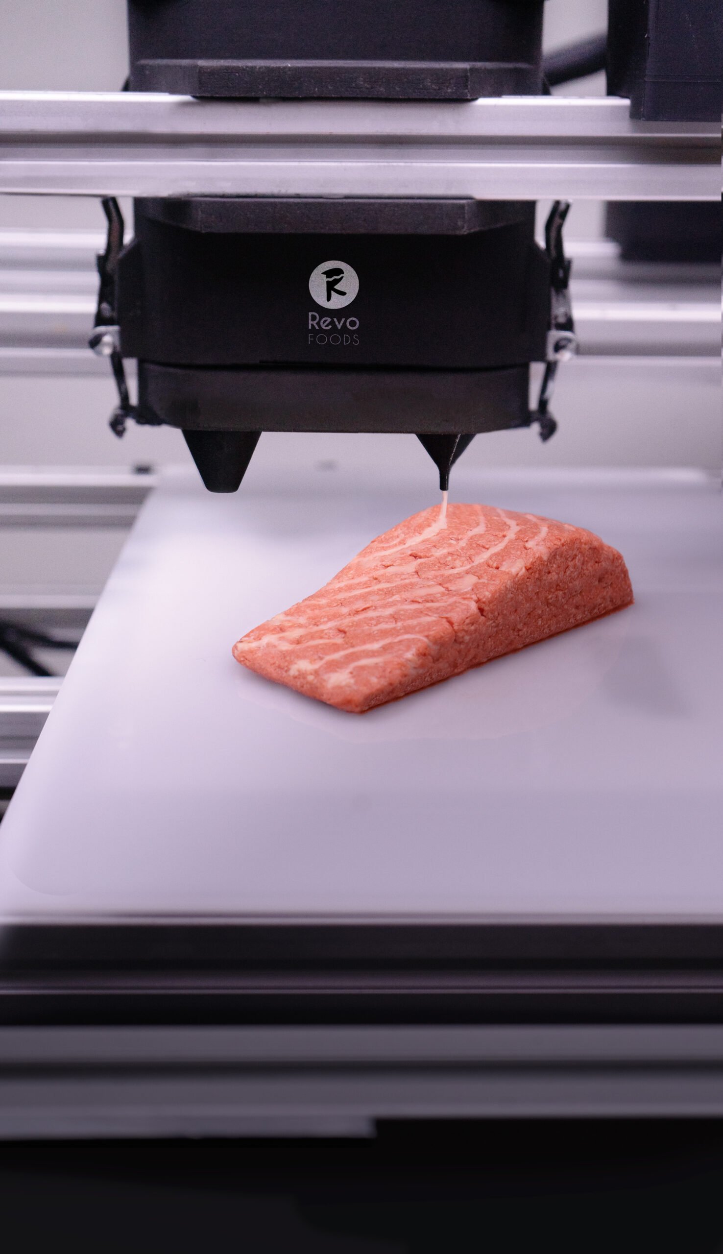 The Rise of 3D-Printed Meat Alternatives (image credits: wikimedia)