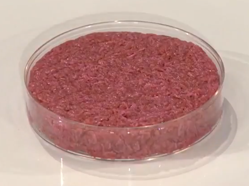Current State of Lab-Grown Meat (image credits: wikimedia)