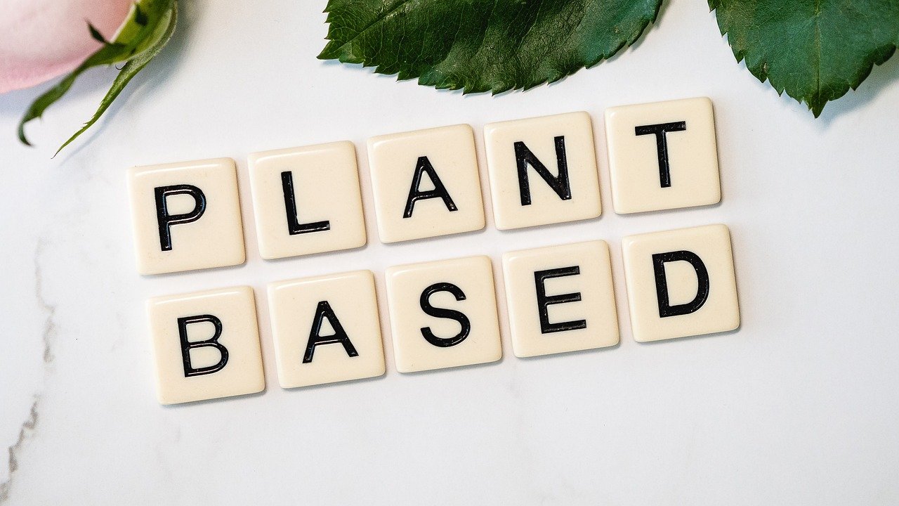 Production Costs of Plant-Based Meat (image credits: pixabay)