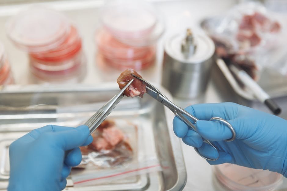 Production Costs of Lab-Grown Meat (image credits: pexels)