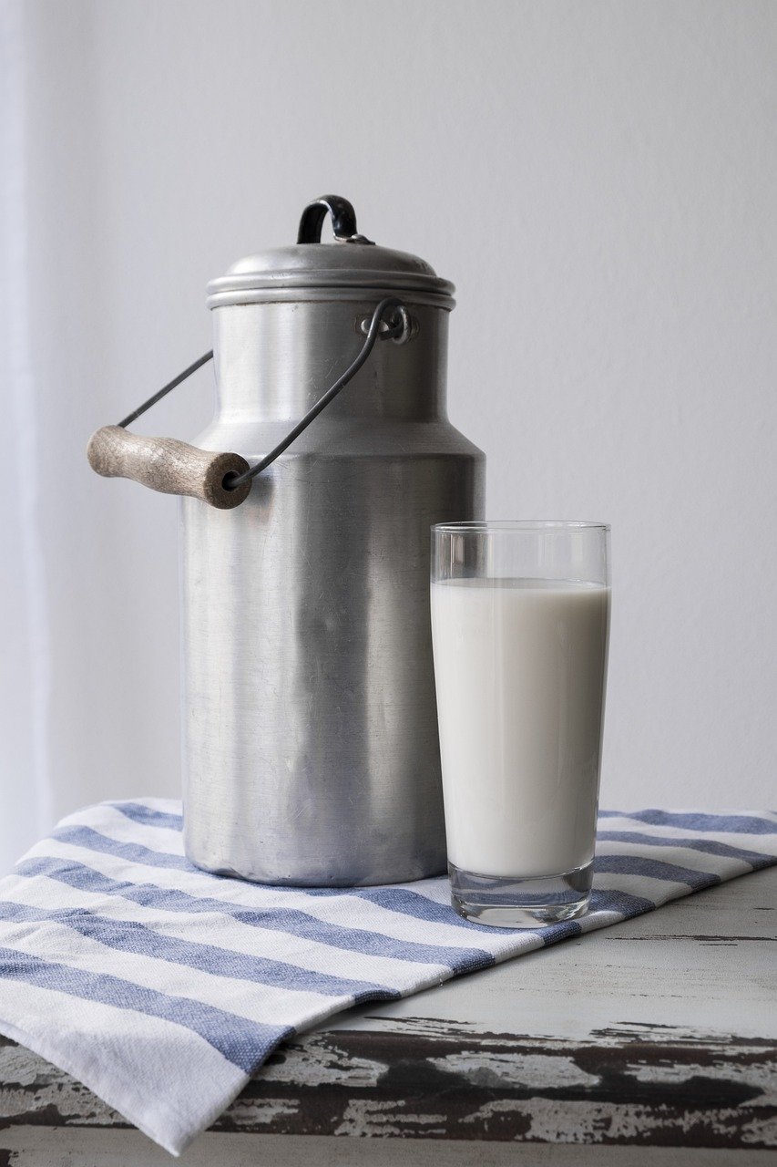 Raw Milk (image credits: pixabay)