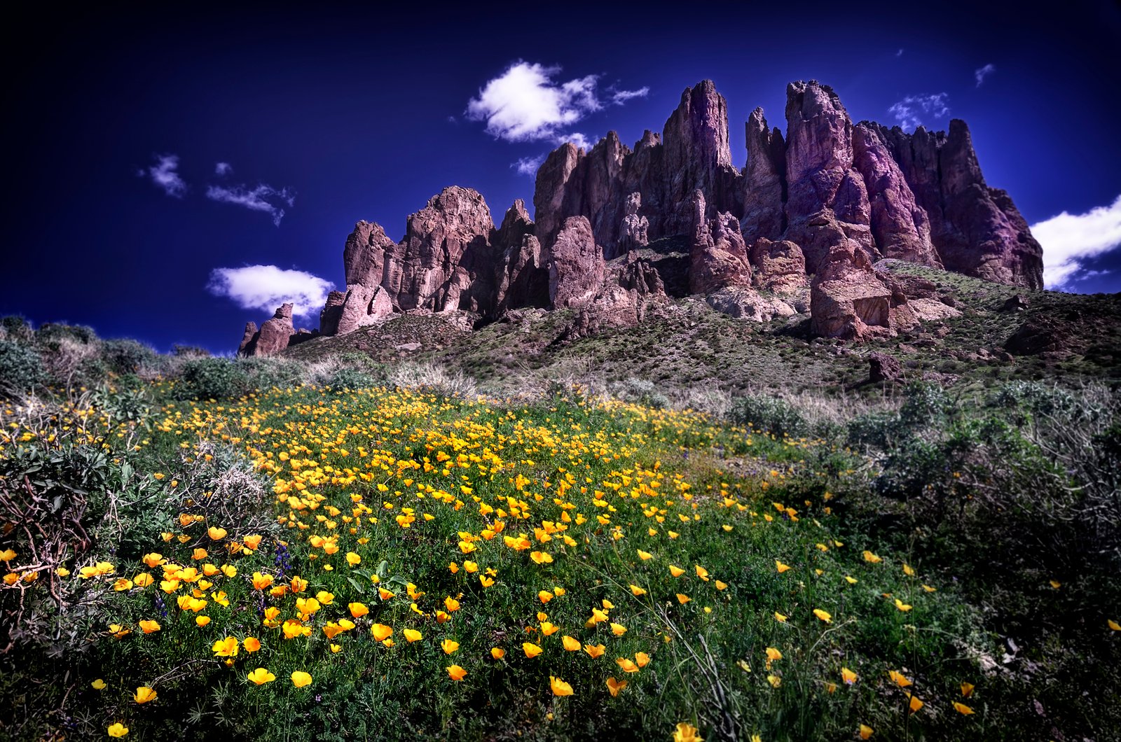 The Lost Dutchman's Mine – A Tale of Gold in the Superstitions (image credits: wikimedia)