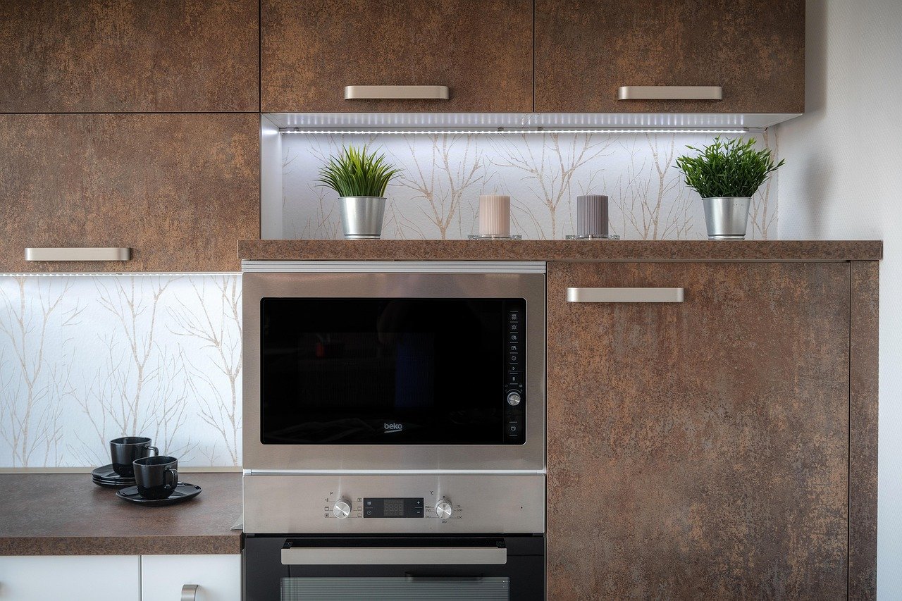 The Microwave Oven (image credits: pixabay)