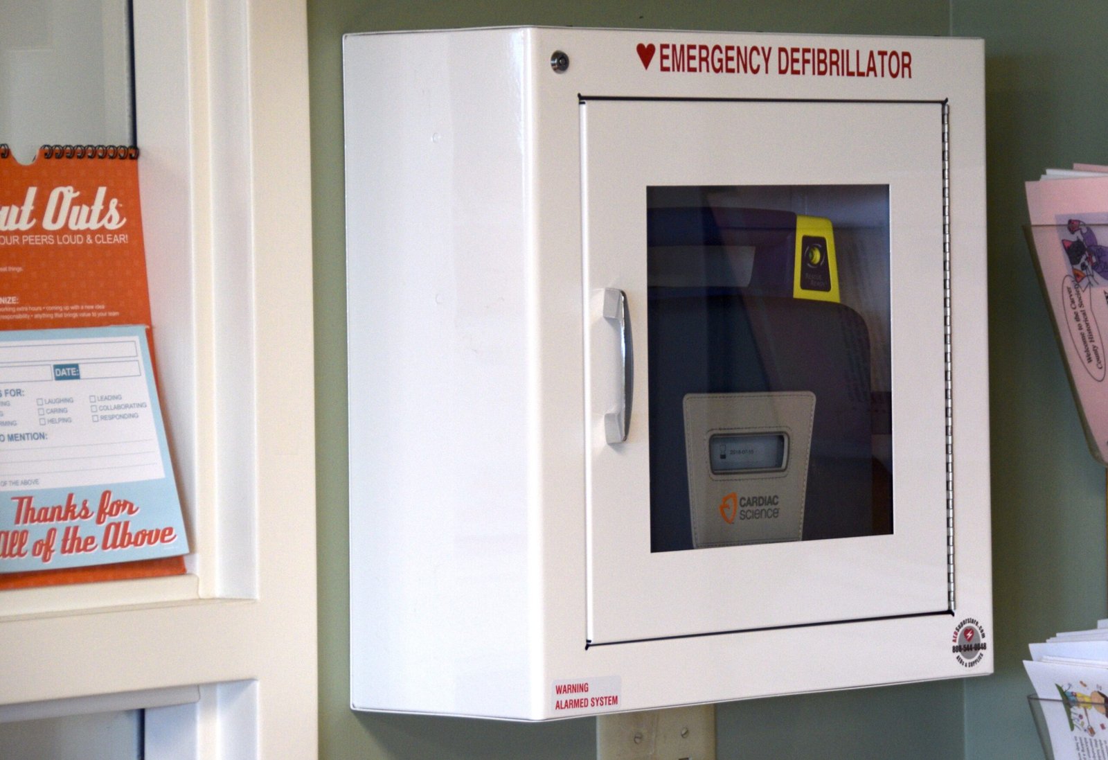 The Defibrillator (image credits: wikimedia)