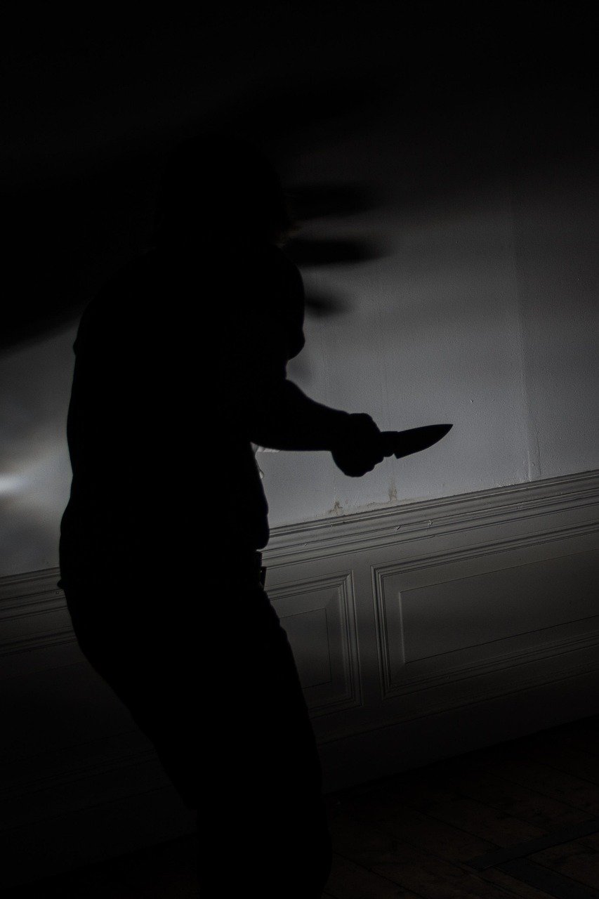 5. The Fox Hollow Murders: Playground of a Serial Killer (image credits: pixabay)