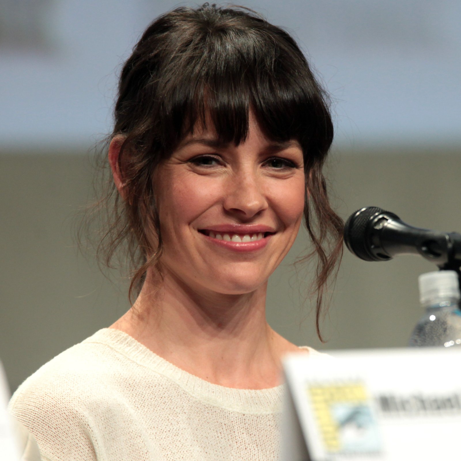 Lost (2004–2010) (image credits: wikimedia)