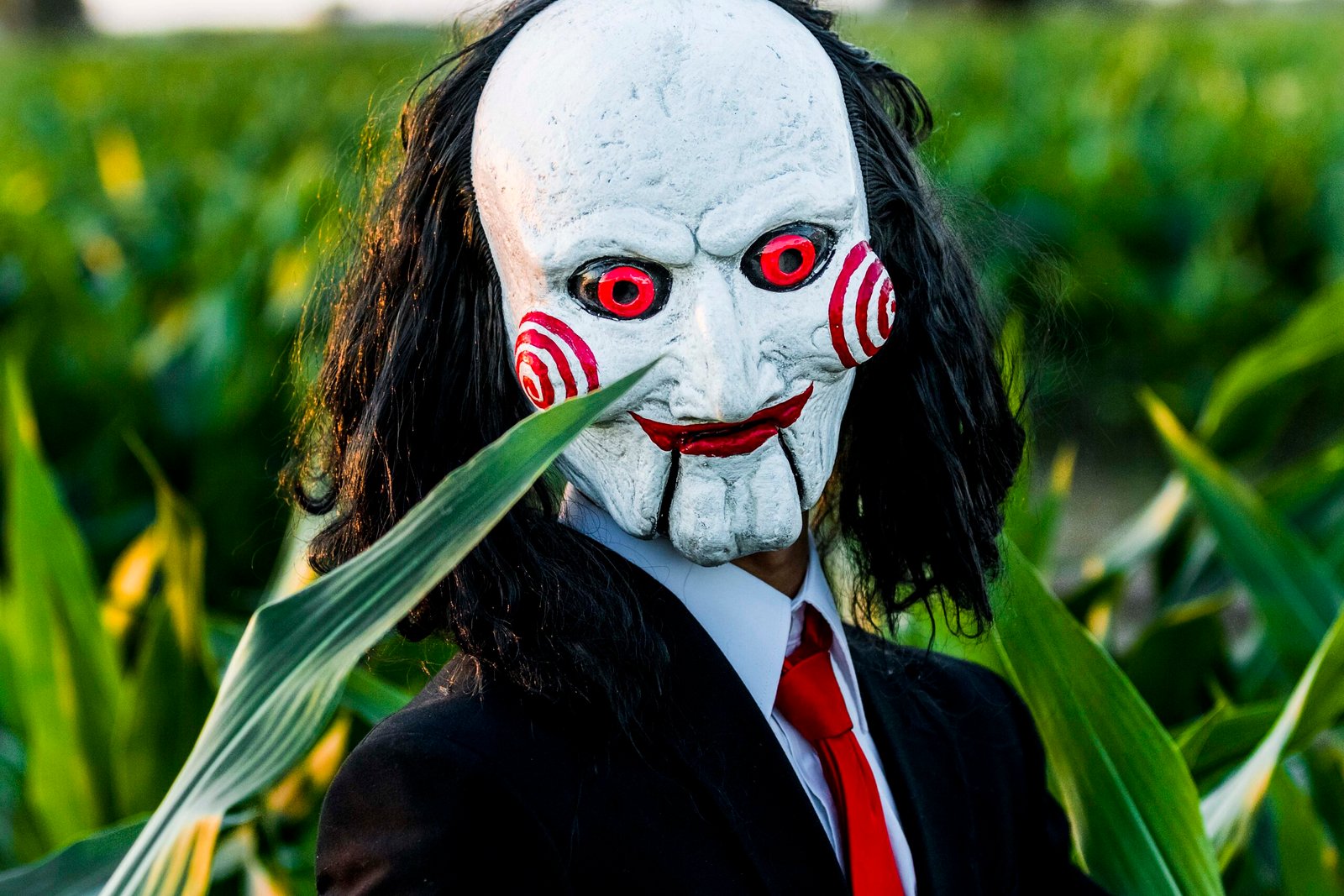Saw (2004–Present) (image credits: wikimedia)