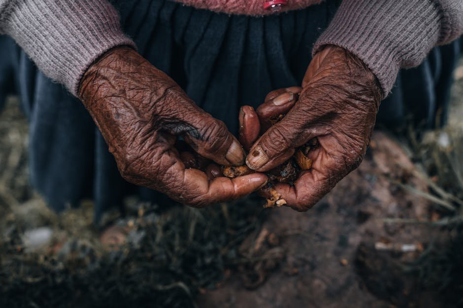 The Agricultural Revolution: From Hunter-Gatherers to Settled Societies (image credits: pexels)