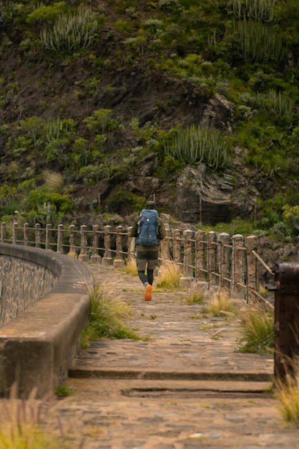 7. Hiking & Walking 🚶‍♂️ (image credits: pexels)