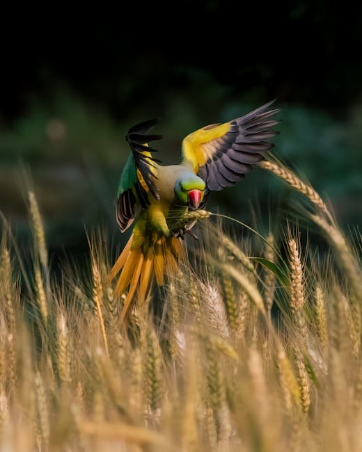 10. Birdwatching 🦜 (image credits: pexels)