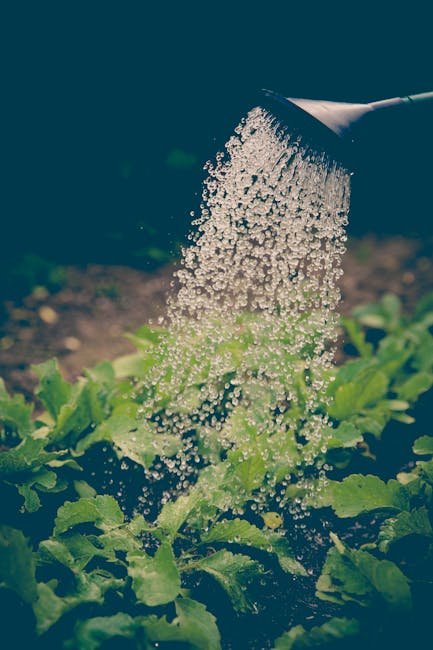 Summer: Keep Your Garden Healthy (image credits: pexels)