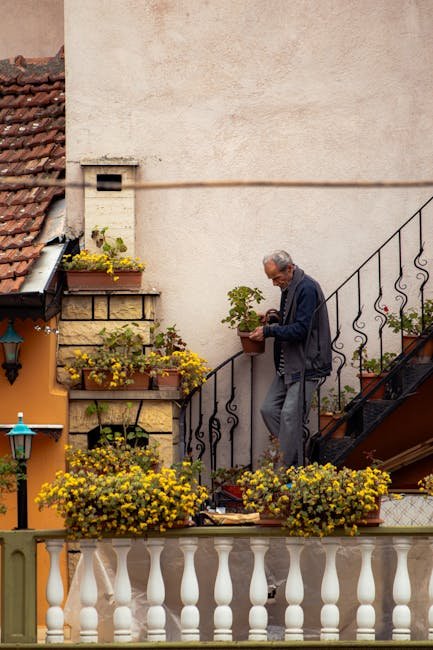 Fall: Prepare for the Next Season (image credits: pexels)