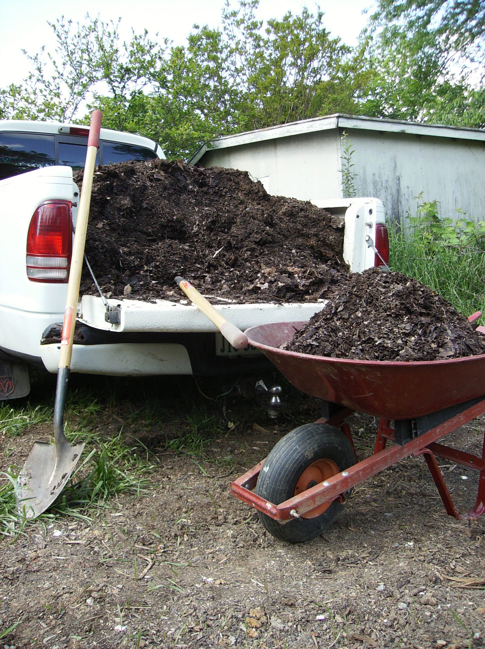 Soil Health: The Foundation of Your Garden (image credits: wikimedia)
