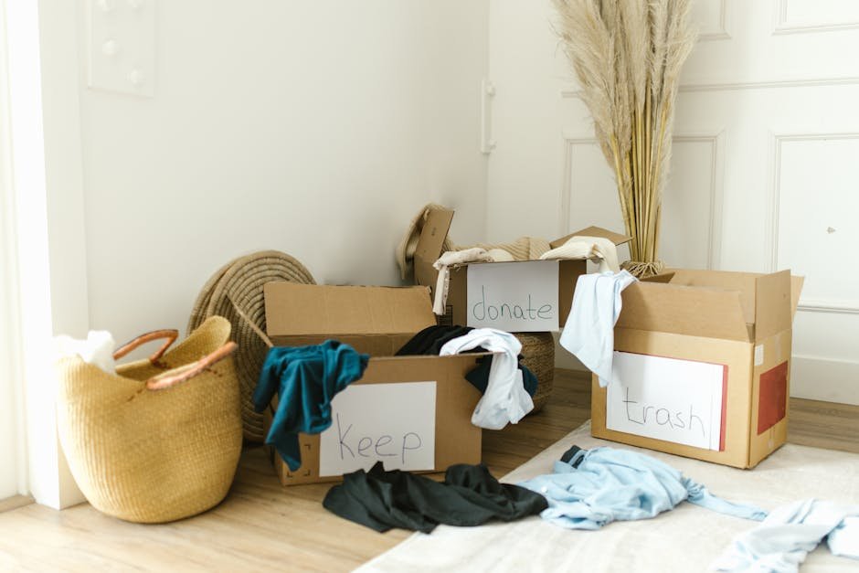 What to Toss: Outdated & Unnecessary Items (image credits: pexels)