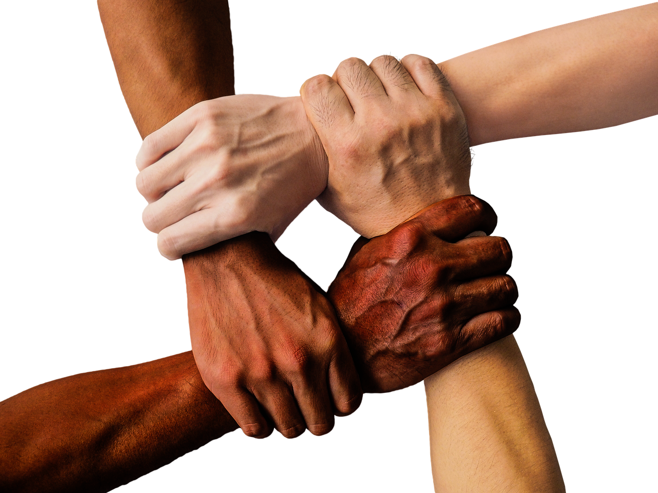 A Truly Diverse and Inclusive Society (image credits: pixabay)