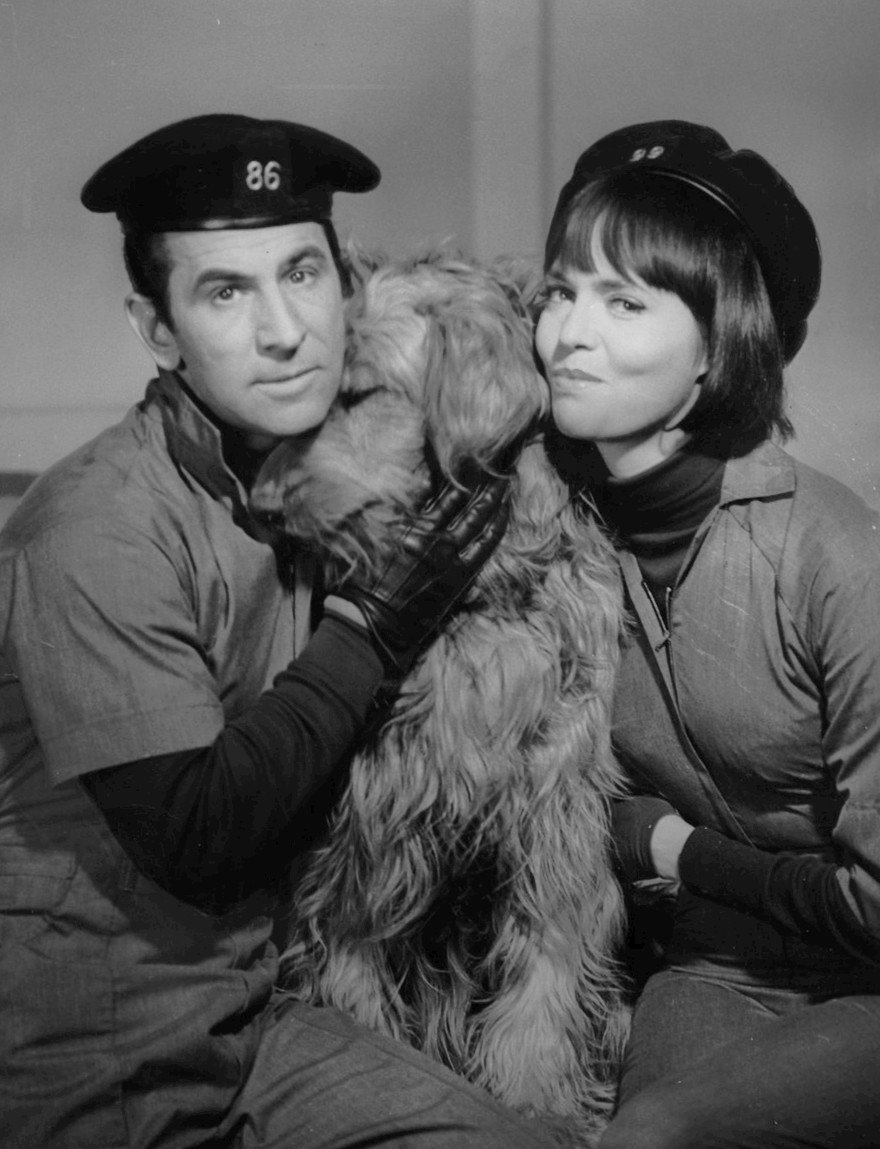 6. Get Smart (1965-1970) (image credits: wikimedia)