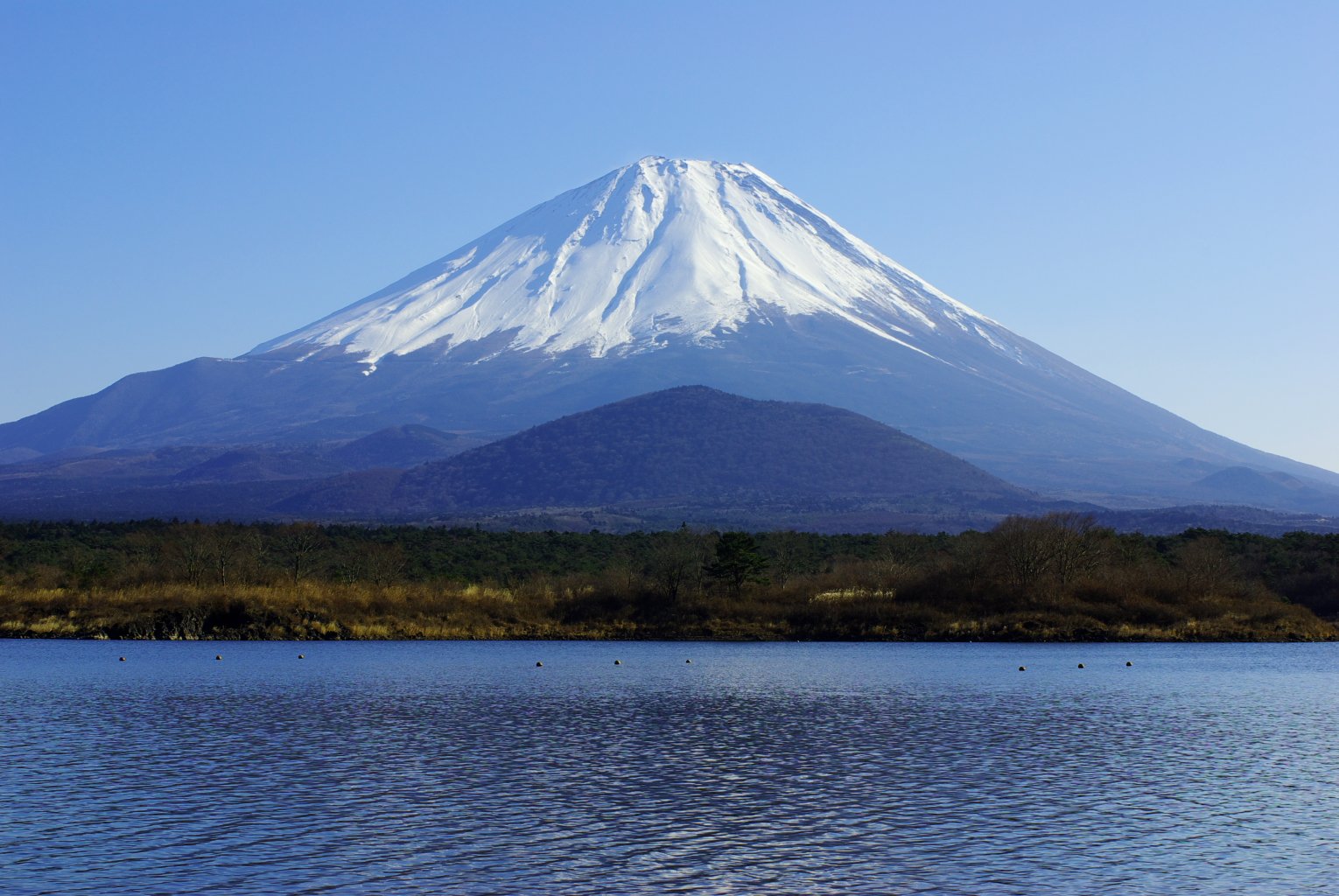 Mount Fuji Lakes Region – Lost in Translation (Japan) (image credits: wikimedia)