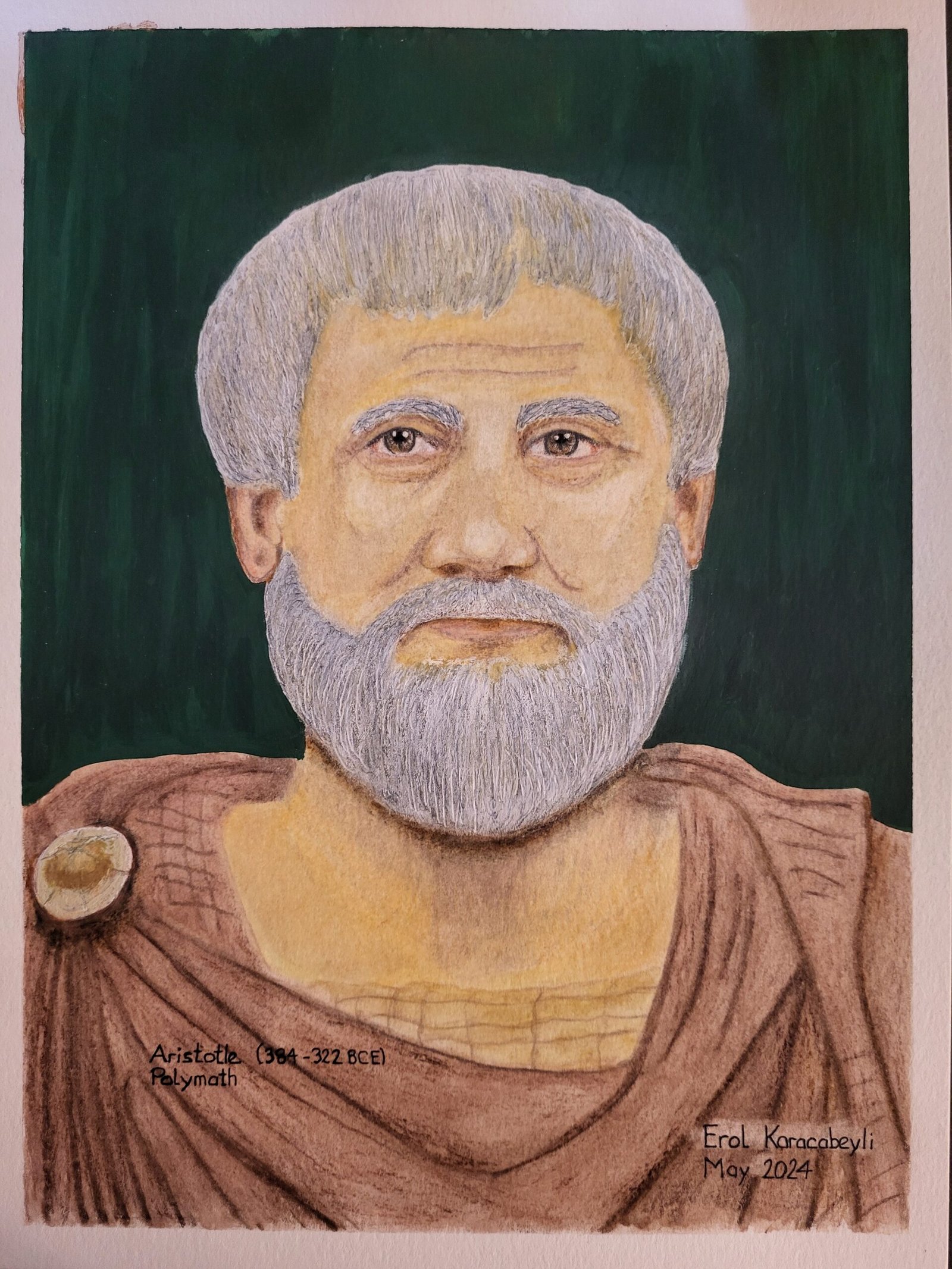 12. Aristotle: The Ancient Polymath (image credits: wikimedia)
