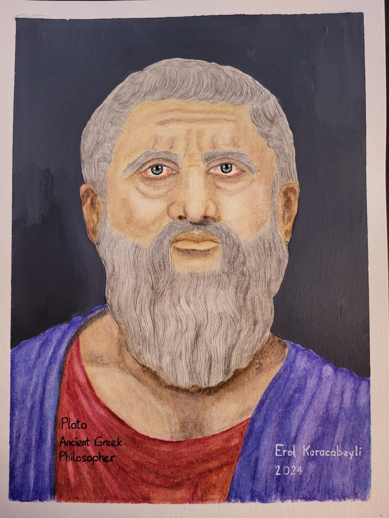 11. Plato: The Founder of Western Philosophy (image credits: wikimedia)