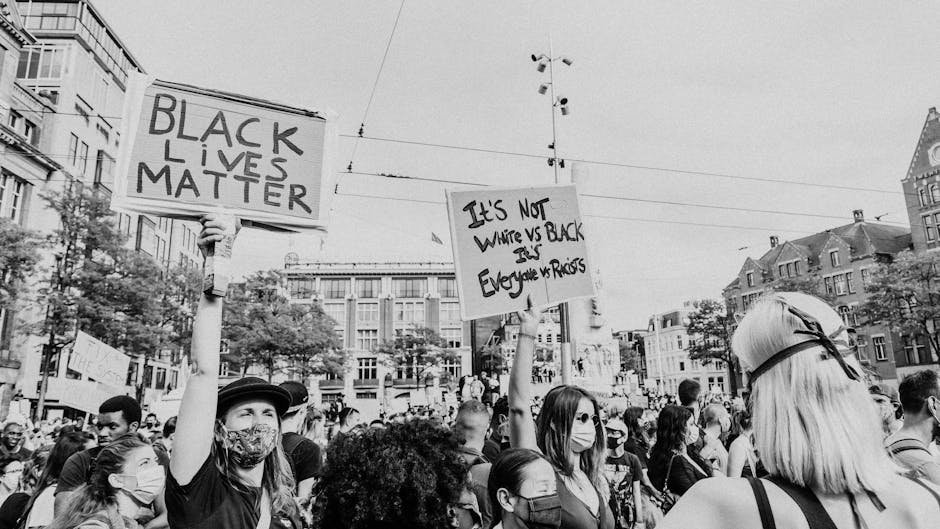 12. A Wrong Turn Saved the U.S. Civil Rights Movement (1955) (image credits: pexels)