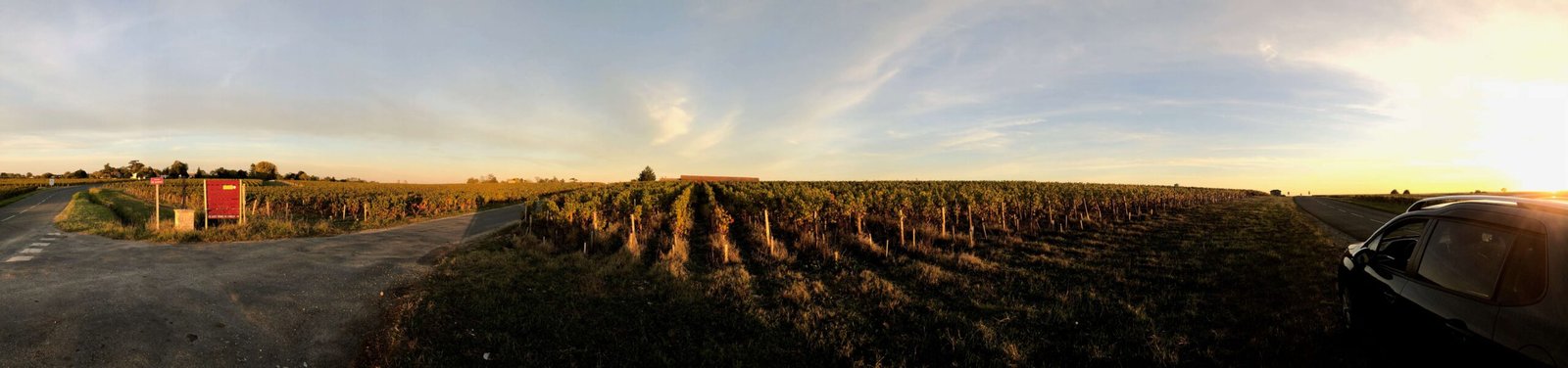 Bordeaux, France: The King of Wine Regions (image credits: wikimedia)