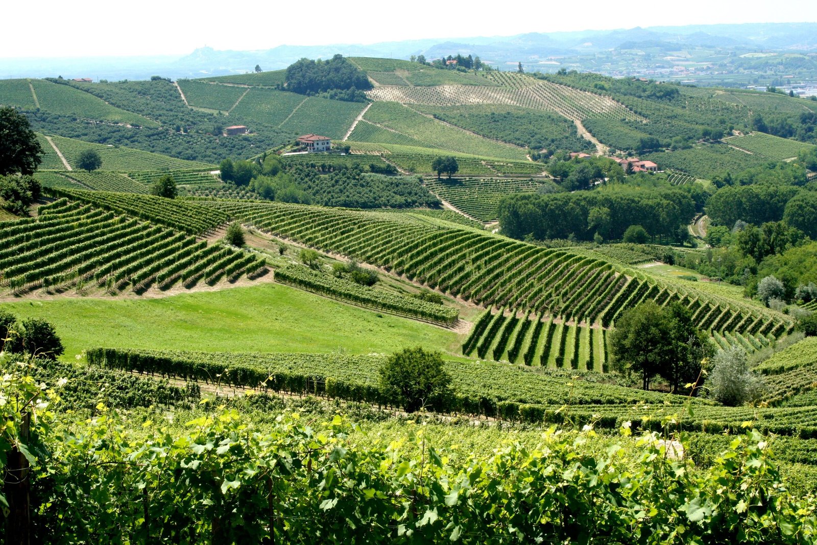 Tuscany, Italy: The Heart of Italian Winemaking (image credits: wikimedia)