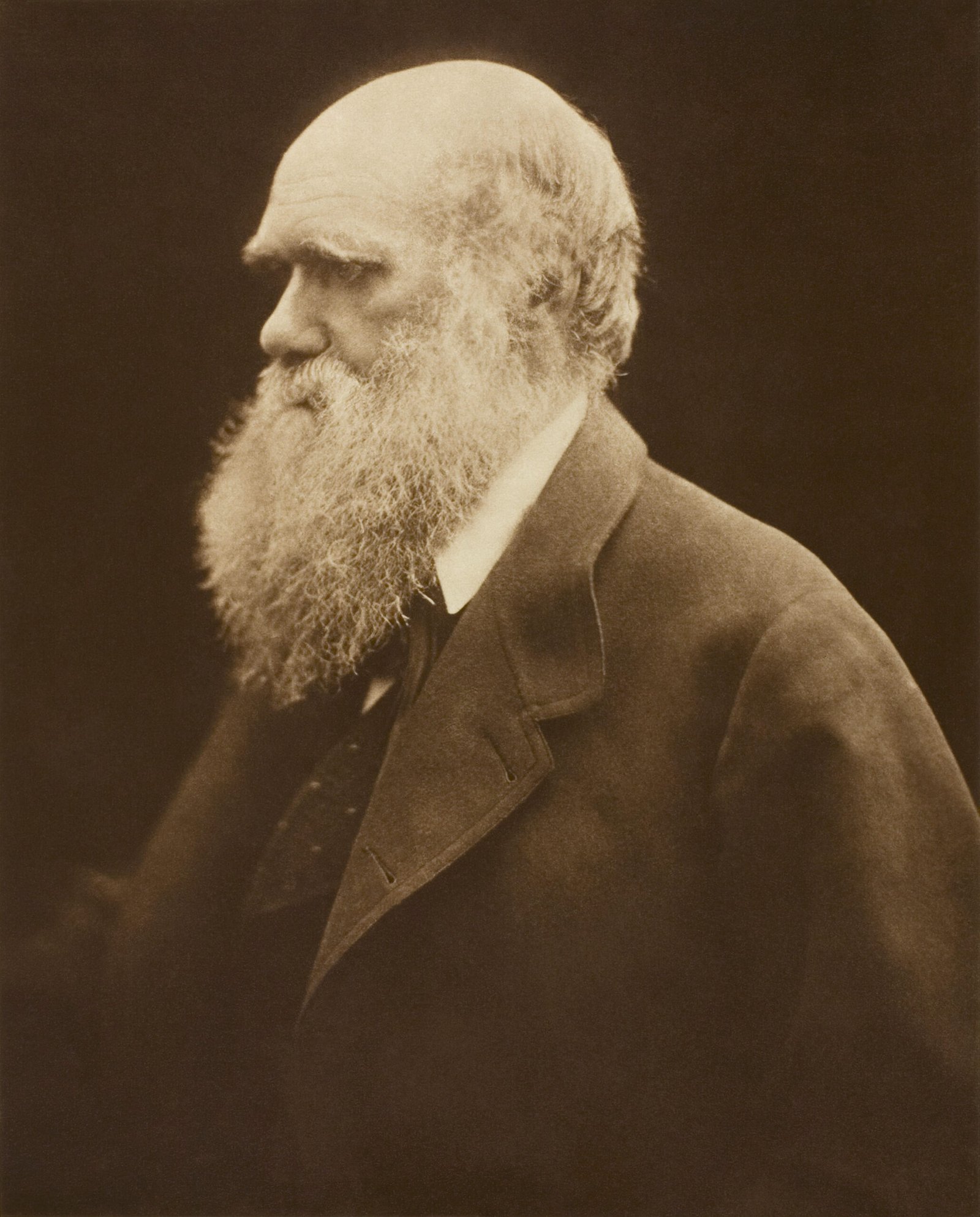 1️⃣5️⃣ On the Origin of Species – Charles Darwin 🦠📖 (image credits: wikimedia)