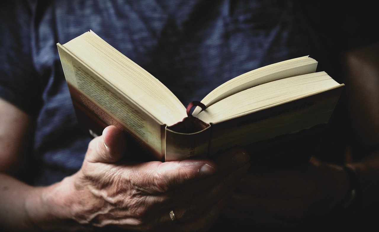 1️⃣5️⃣ The Recognitions – William Gaddis 🎭📖 (image credits: pixabay)