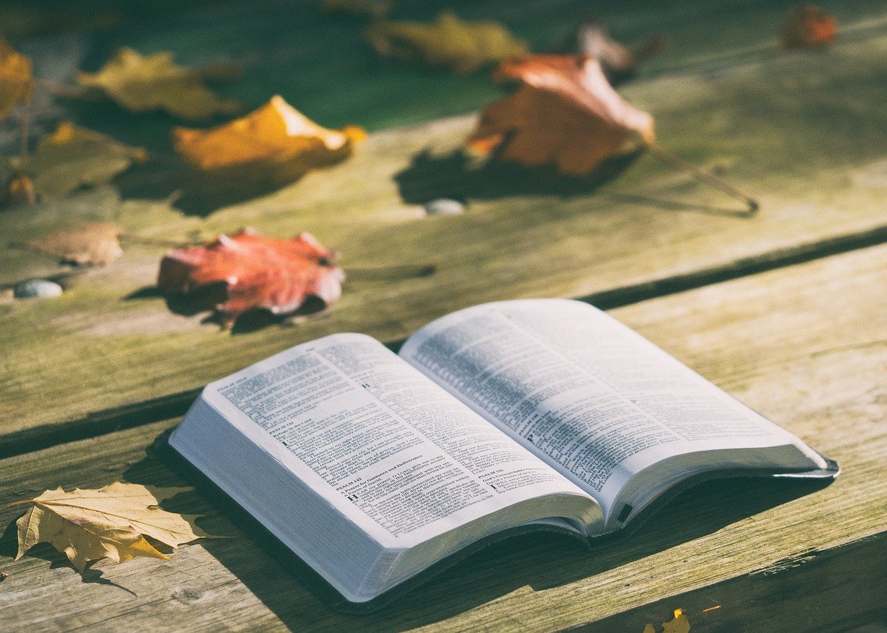 1️⃣ The Bible ✝️📜 (image credits: pixabay)