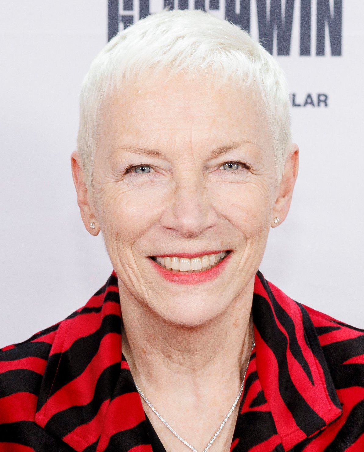 Annie Lennox: The Androgynous Icon (image credits: wikimedia)