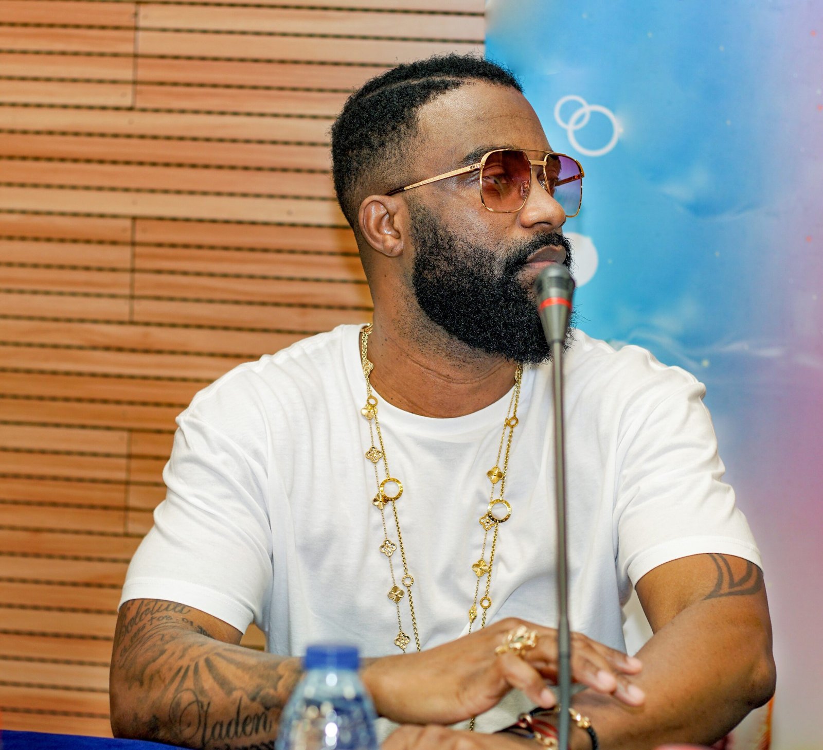 8. Fally Ipupa (DR Congo) – Congolese Superstar (image credits: wikimedia)