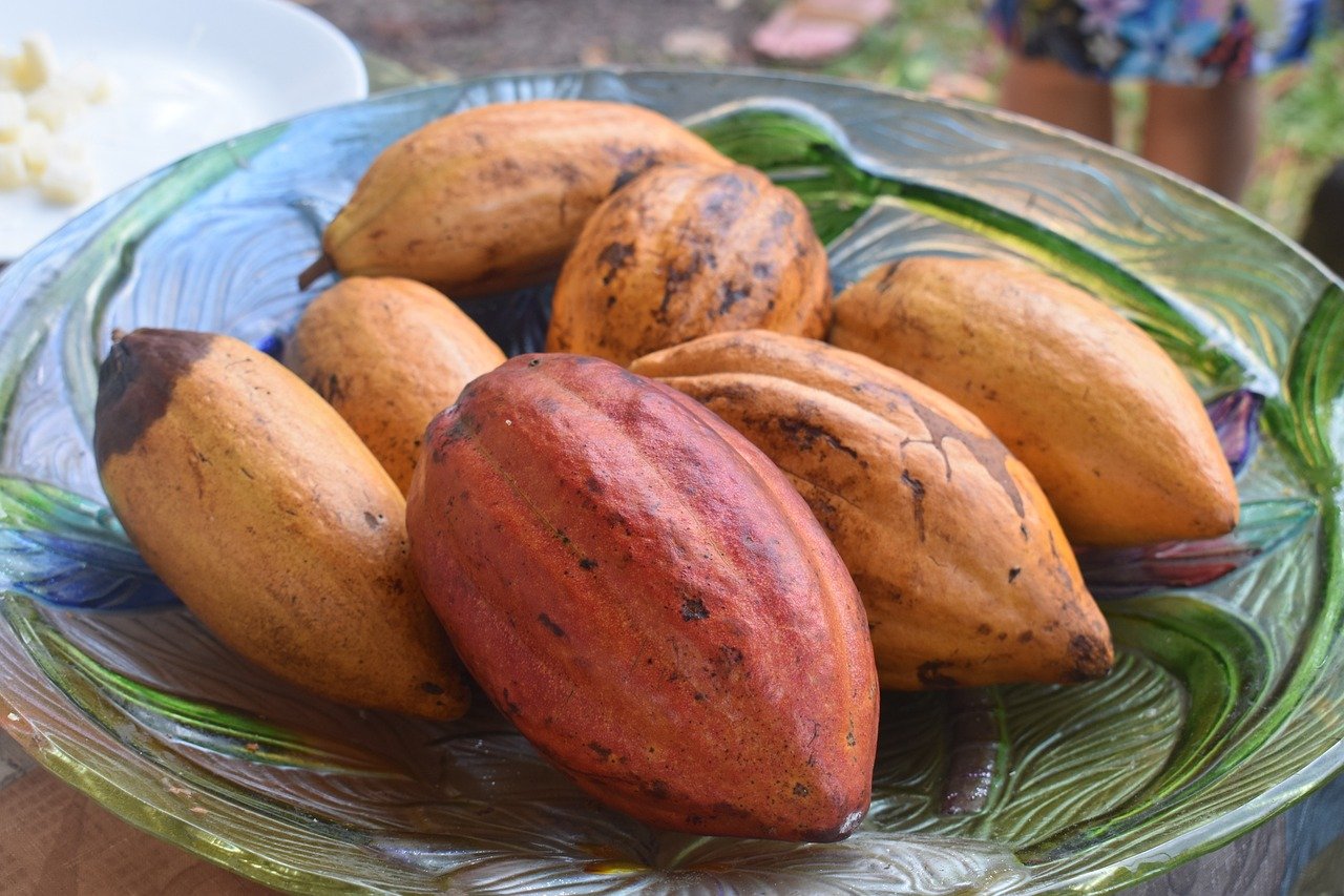 Chocolate (Aztec, Nahuatl) (image credits: pixabay)