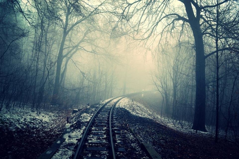 9. The Mist (1980) – Nightmarish (image credits: stocksnap)