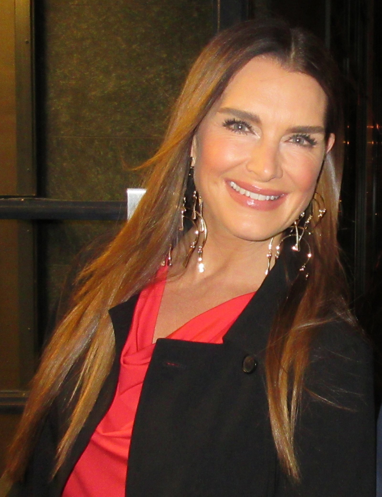 Brooke Shields – Beauty and Blue Blood (image credits: wikimedia)