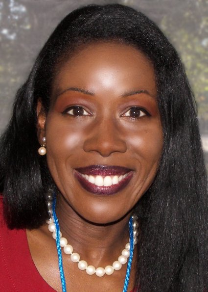 The Warmth of Other Suns – Isabel Wilkerson (2010) (image credits: wikimedia)
