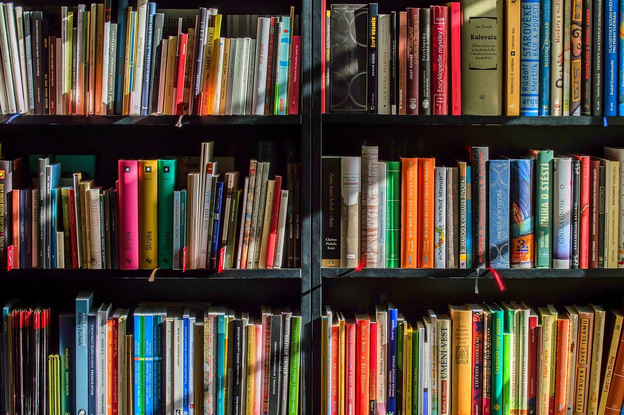 Defining Novels (image credits: pixabay)