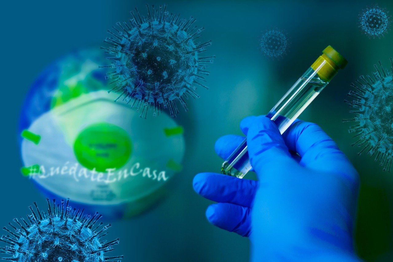 The COVID-19 Pandemic (2020–2022) (image credits: pixabay)