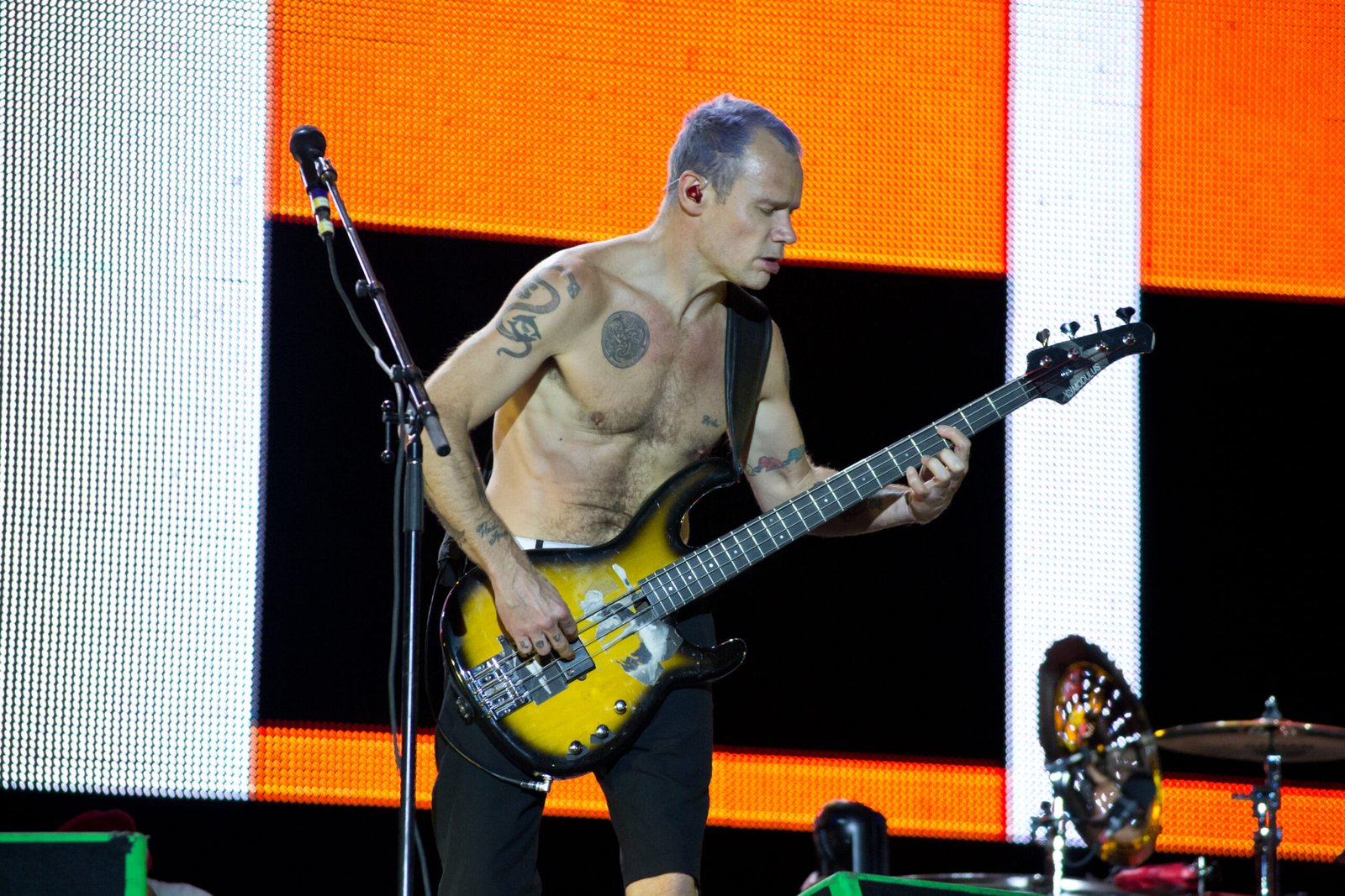 Flea – Acid for the Children (2019) (image credits: wikimedia)