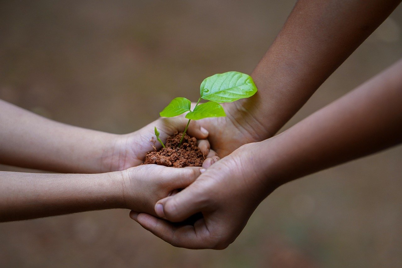 The Giving Tree – Shel Silverstein (1964) 🌳💚 (image credits: pixabay)