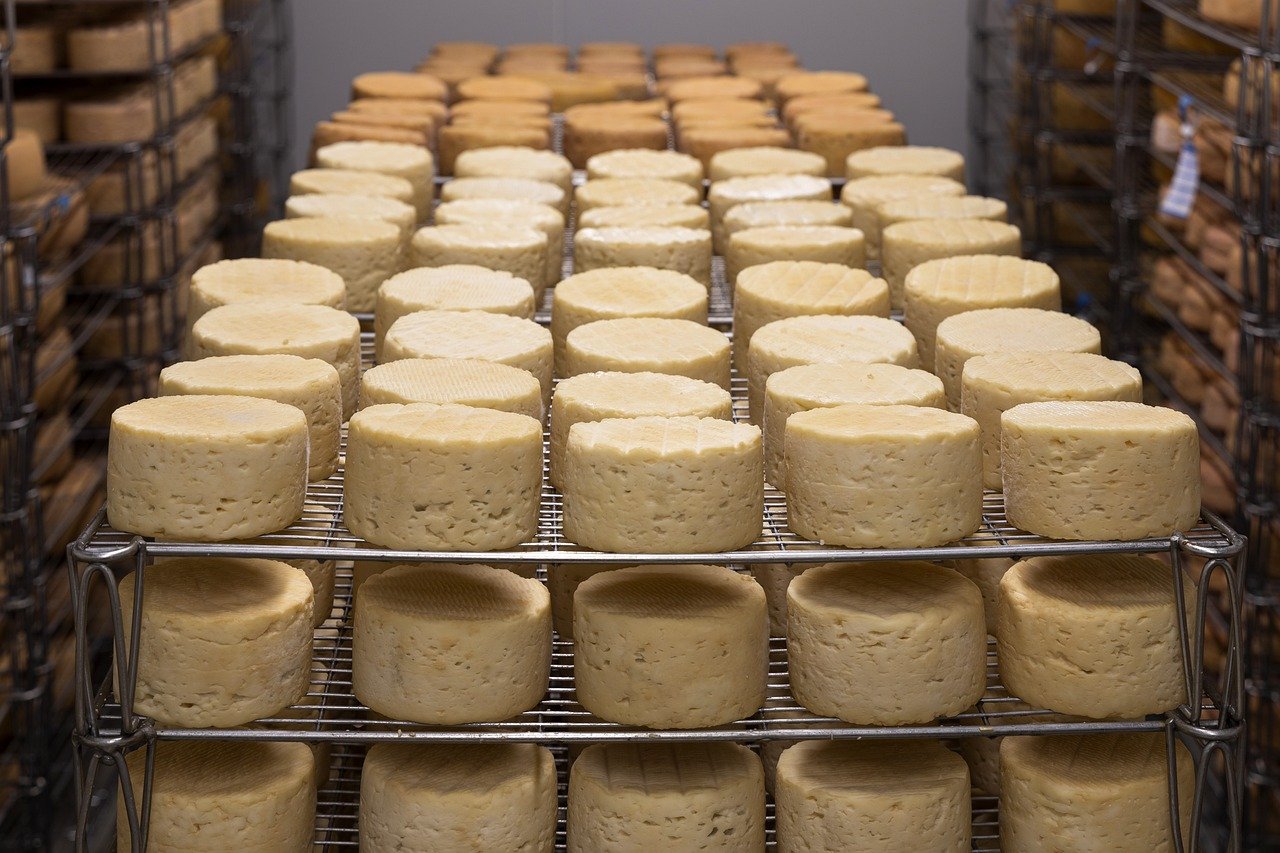 13. Cheese-Making (Europe & Middle East) (image credits: pixabay)