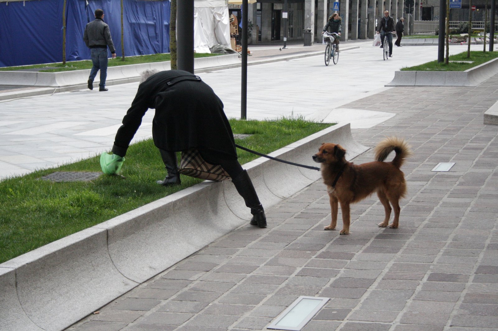You Must Walk Your Dog Daily in Turin, Italy (image credits: wikimedia)