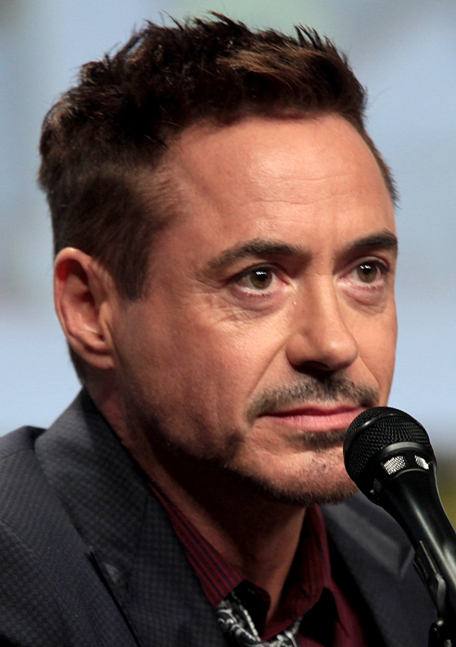 Robert Downey Jr. (image credits: wikimedia)