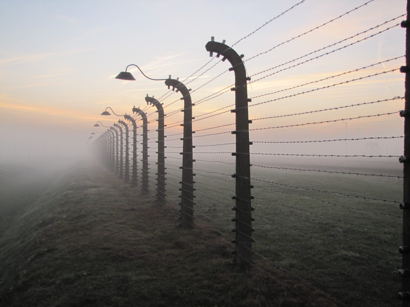 The Holocaust (1941–1945) (image credits: wikimedia)