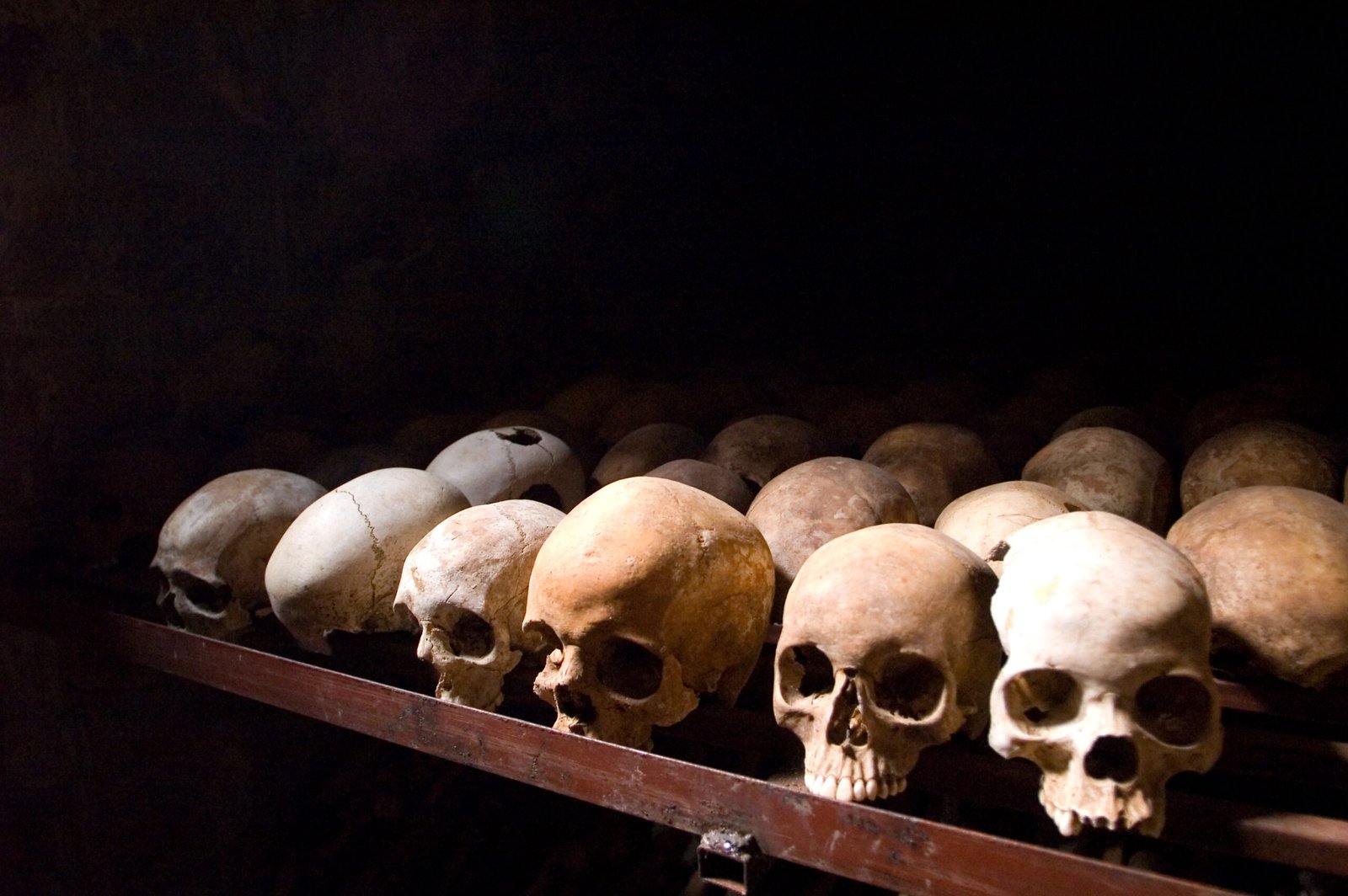 Rwandan Genocide (1994) (image credits: wikimedia)