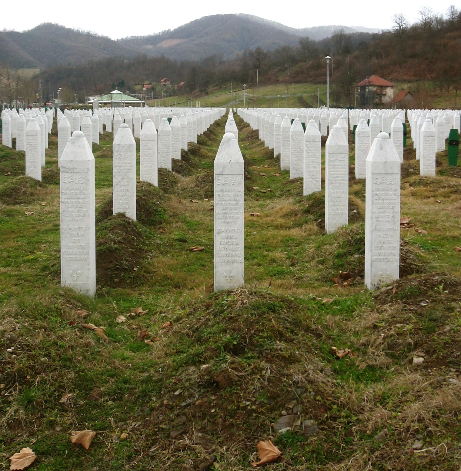 Bosnian Genocide (1992–1995) (image credits: wikimedia)